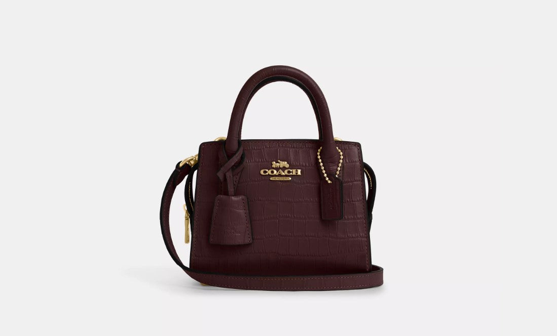 Coach Andrea Mini Carryall