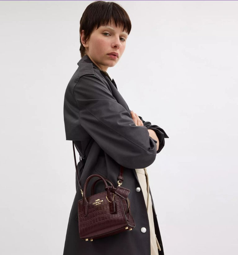 Coach Andrea Mini Carryall