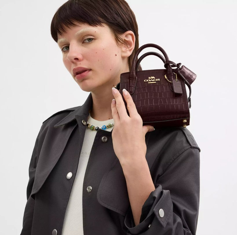 Coach Andrea Mini Carryall