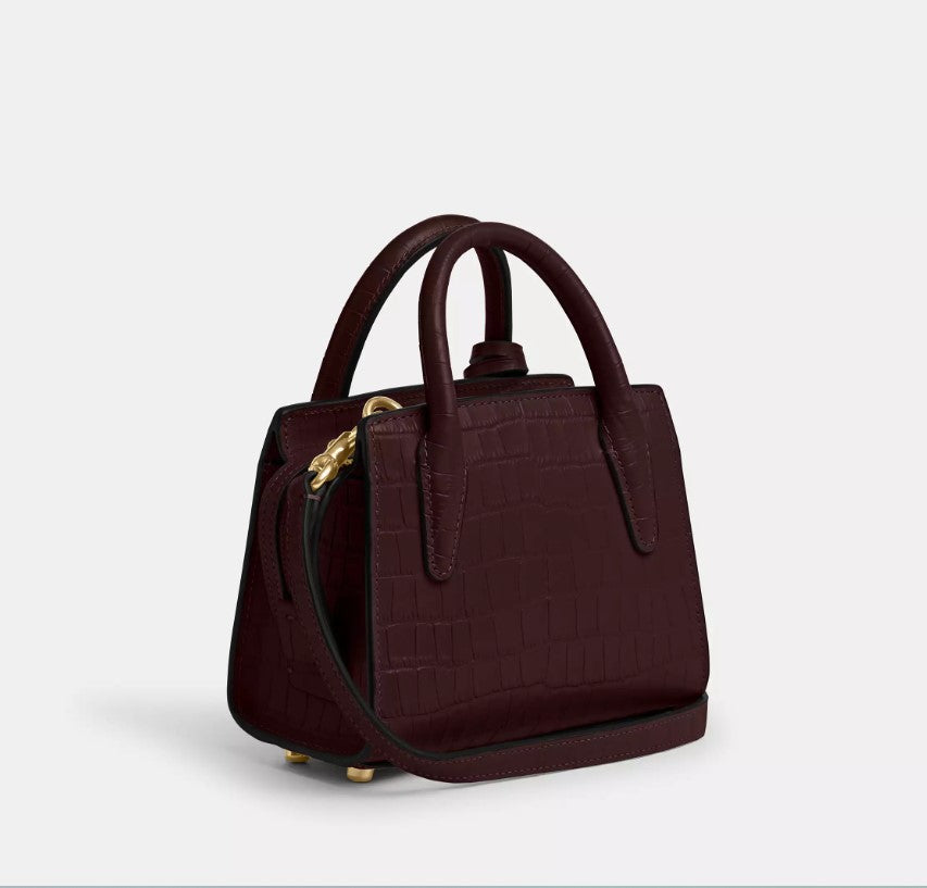 Coach Andrea Mini Carryall